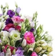 Gėlių pristatymas Tauragėje Įvairiaspalvė eustomų puokštė